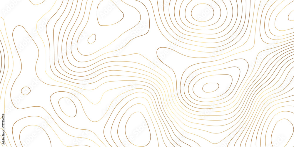 Topographic map background geographic line map pattern .panorama view golden color wave curve lines .geographic mountain relief abstract grid .the concept map of a conditional geography map . - obrazy, fototapety, plakaty 