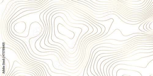 Topographic map background geographic line map pattern .panorama view golden color wave curve lines .geographic mountain relief abstract grid .the concept map of a conditional geography map .