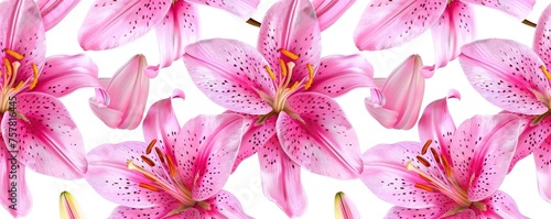 Seamless Pink Asiatic Lilies Pattern Abstract Floral Design