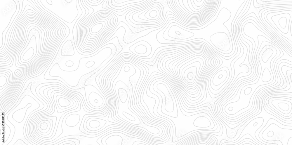 Fototapeta premium Abstract pattern with lines seamless pattern and topography map and counter map. abstract sea map and mount map area space geometric line technology topo landscape grid map texture.