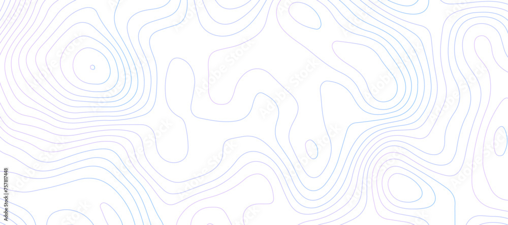 Topographic map background geographic line map pattern .panorama view gradient  wave curve lines .geographic mountain relief abstract grid .the concept map of a conditional geography map .