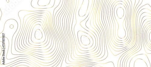 Fototapeta Naklejka Na Ścianę i Meble -  Topographic map background geographic line map pattern .panorama view golden color wave curve lines .geographic mountain relief abstract grid .the concept map of a conditional geography map .