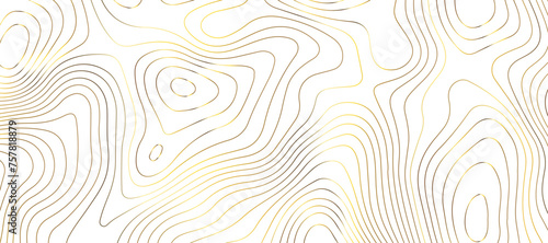 Topographic map background geographic line map pattern .panorama view golden color wave curve lines .geographic mountain relief abstract grid .the concept map of a conditional geography map .