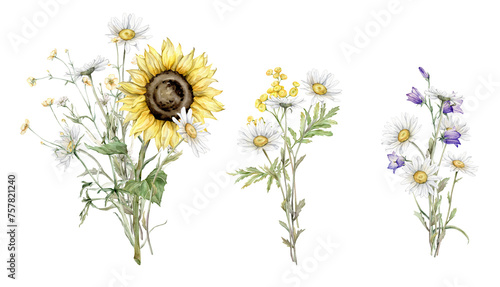 Watercolor set of bouquet of daisy and sunflower flowers. Commy tansy and little violet bell botanical plants. Hand drawing illustration on isolated background. Composition from summer meadow flowers.