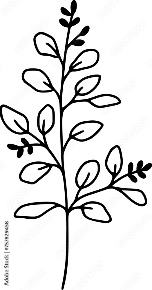Branch With Small Oval Leaves Illustration Branch With Small Oval Leaves Illustration