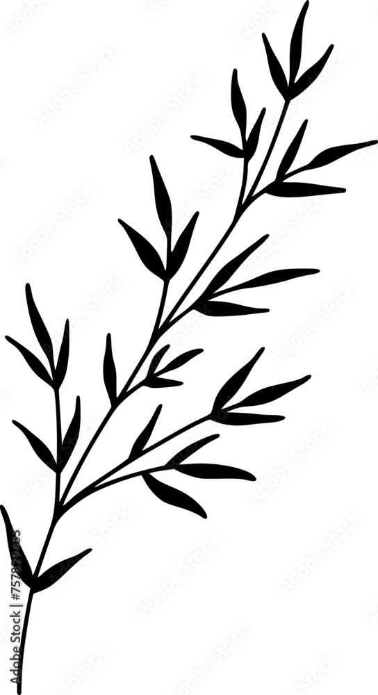 Naklejka premium Bamboo Branch And Leaves Illustration