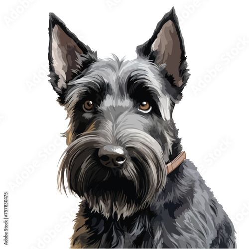 Scottish Terrier Clipart isolated on white background