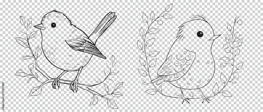 Bird icon symbol set, vector illustrations on transparent background