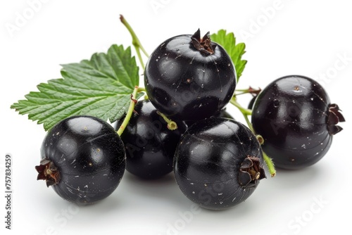 Black Currant Berries Isolated on White Background. Close-up Macro Image of Fresh and Juicy Black Currant with Leaf. Perfect Vegetarian Food Concept