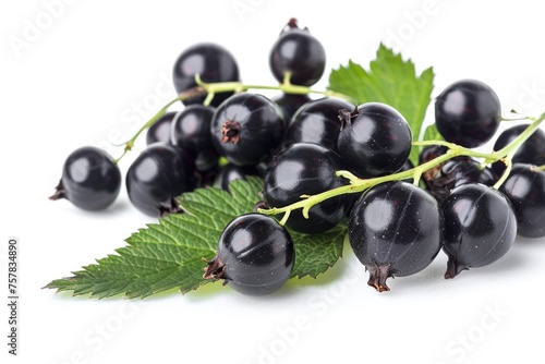 Close-up of Fresh Isolated Black Currant Berries with Leaf Macro Detail - Perfect for Vegetarian Food and Fruit Concepts