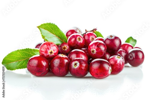 Closeup Cranberry Heap with Isolated Leaf on White Background. Red and Healthy Food in Pile with Tree Branch