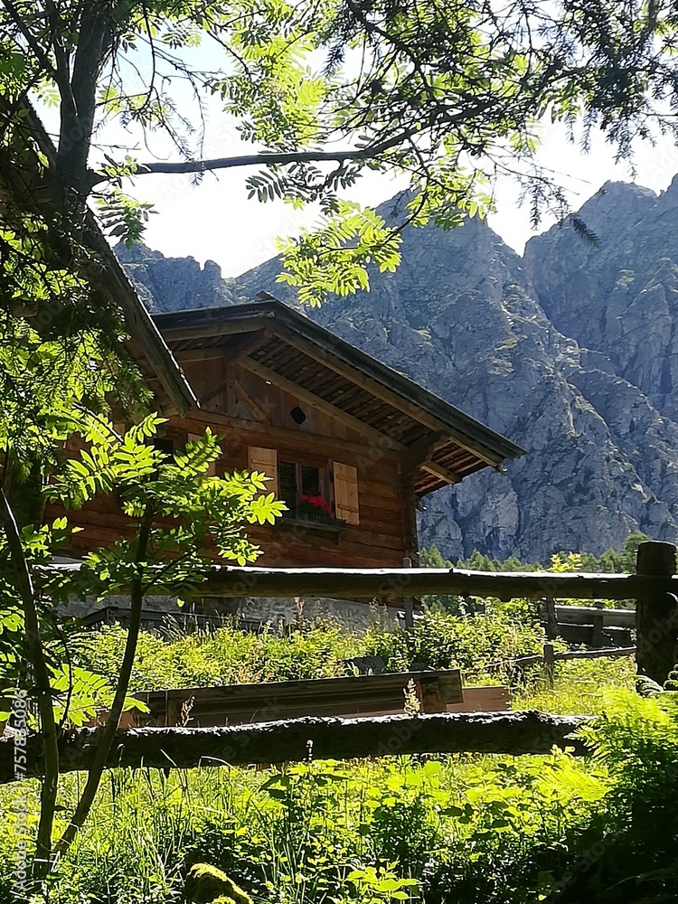 Fototapeta premium wooden house in the mountains