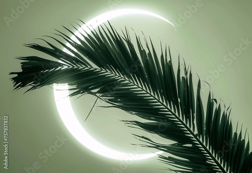 Full Moon Rising  A Crescent Moon and Palm Tree Generative AI