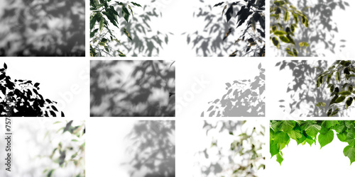 shadow tree with leaves on a gray background. abstract image