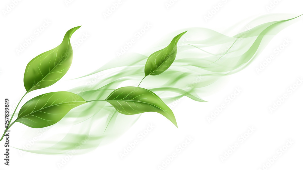 Fototapeta premium green leaves flying wave swirling motion abstract background, on white background.