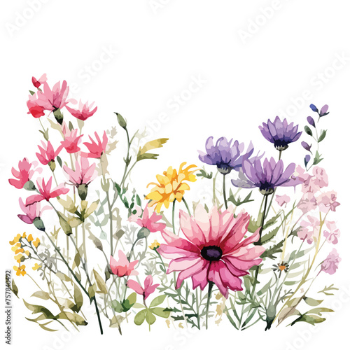 Watercolor Wildflowers Border Clipart