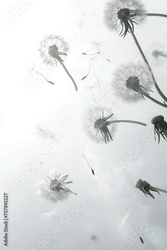 Soft and light spring background with Dandelions Generative Ai 