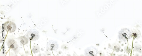 Soft and light spring background with Dandelions Generative Ai 