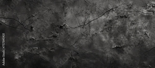 A monochrome photo capturing the intricate patterns of a cracked wall, resembling a natural landscape. The contrast between the dark soil and the bright sky is striking
