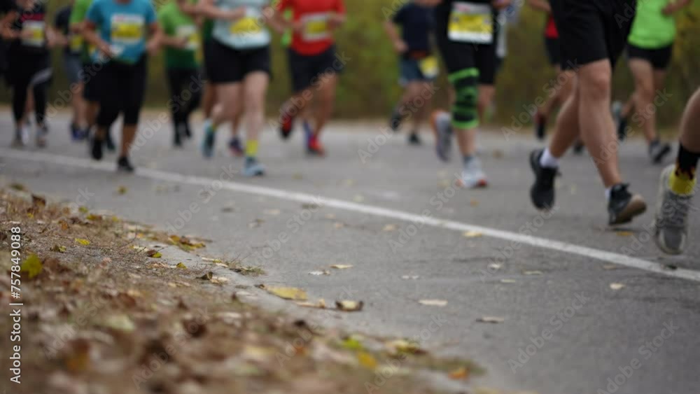 Legs of marathon runners on autumn day, with fallen leaves scattered on asphalt Legs of marathon runners on autumn day, with fallen leaves scattered on asphalt