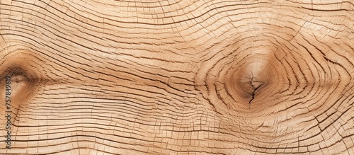 A detailed closeup of a brown hardwood plank with a knot in it, showcasing the natural pattern and beauty of wood. This piece can be enhanced with wood stain or varnish for flooring or furniture