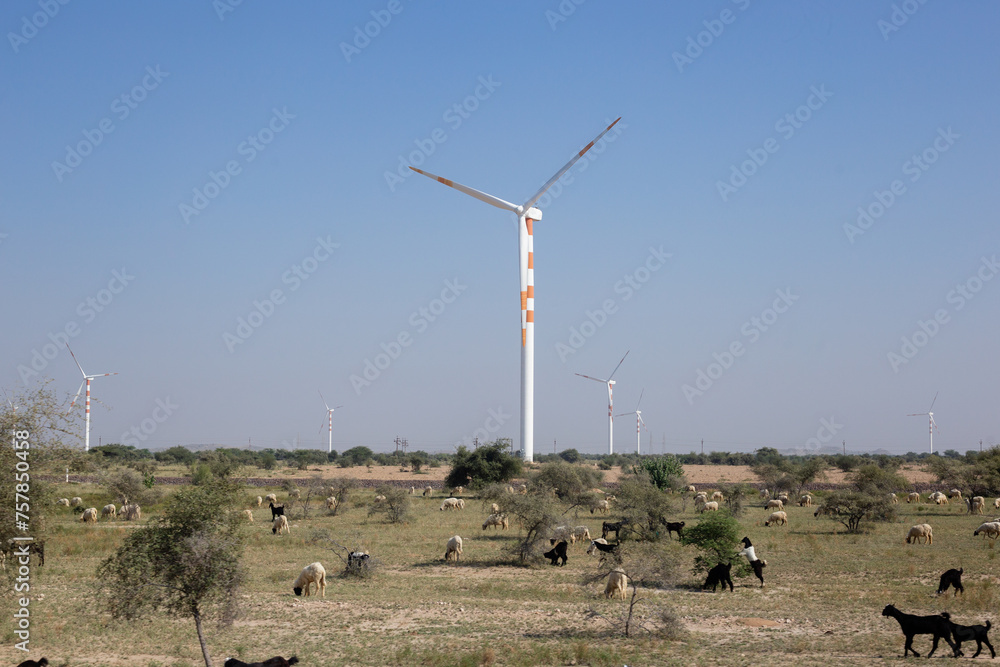 Renewable wind energy Renewable wind energy