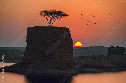 Obraz na płótnie Lonely Tree on Rock. clay quarry Umbab Qatar
