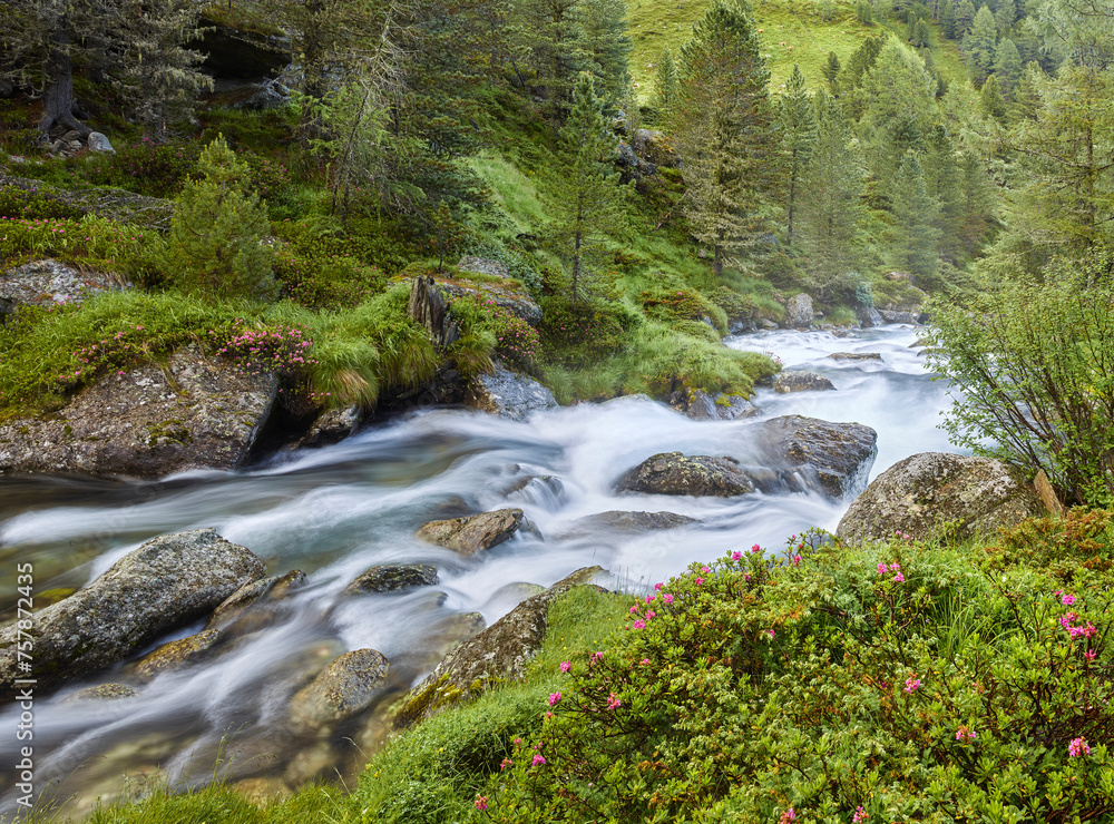 Fototapeta premium Debantbach, Debanttal, Nationalpark Hohe Tauern, Osttirol, Tirol, Österreich