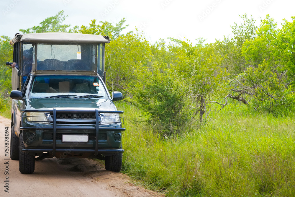 A 4x4 vehicle navigates down a dusty dirt road next to a lush, verdant green field in Kruger National Park, showcasing the rugged beauty of the natural surroundings.