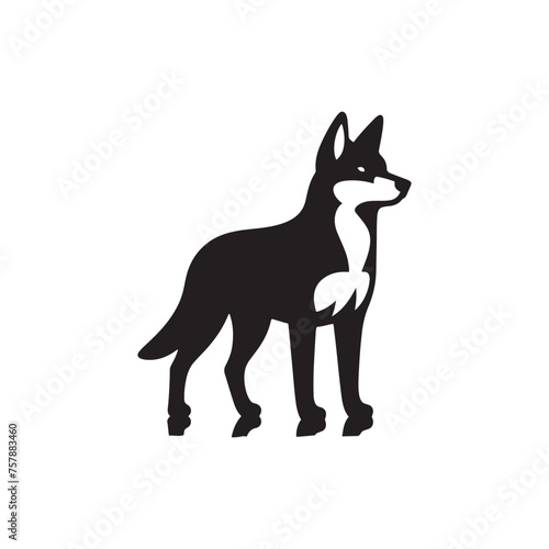 Dingo Silhouette Vector: Dynamic Designs for Wildlife Enthusiasts and Creative Projects, Dingo vector, Dingo Illustration. photo