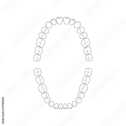 Teeth doodle vector illustration