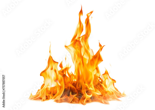 Fire flames isolated on white background
