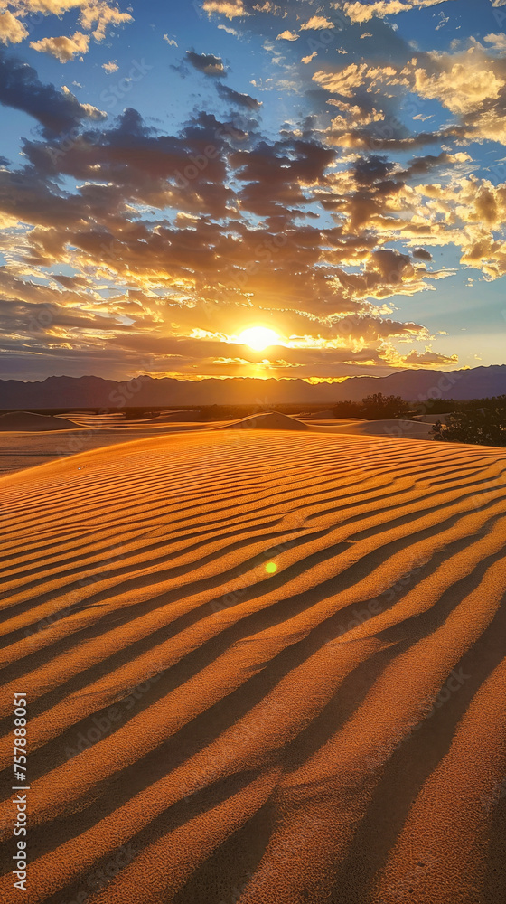 Naklejka premium Desert dunes at sunset