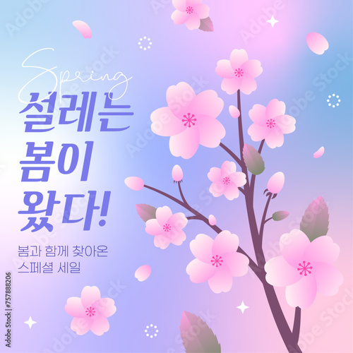 벚꽃 나무가 있는 봄 세일 배너