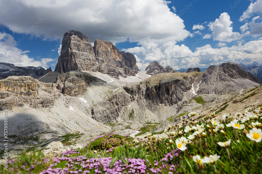 Φωτογραφία Zwölferkofel, Blumen, Südtirol, Dolomiten, Italien, Südtirol, Dolomiten, Italien