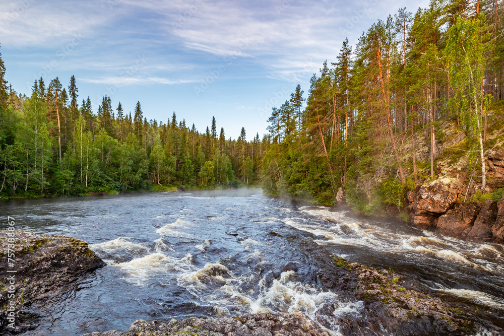 river in the forest river in the forest