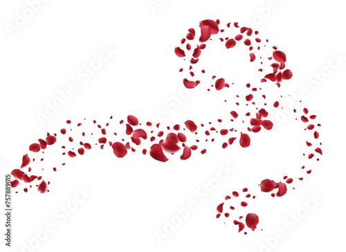 Realistic red rose petals with transparent background. Vector illustration