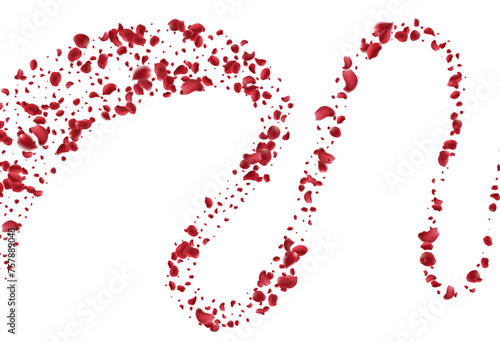 Realistic red rose petals with transparent background. Vector illustration