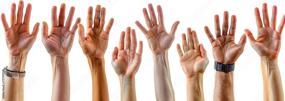 Raised hands from diverse ethnicities on white background. Cut out image of multicultural unity and diversity concept. Design for social campaign, community engagement Raised hands from diverse ethnicities on white background. Cut out image of multicultural unity and diversity concept. Design for social campaign, community engagement