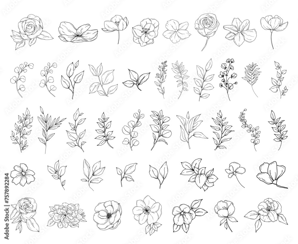 Botanical abstract line art illustration, hand drawn herbs, leaves, flowers and branches set, vector floral hand drawn clipart Botanical abstract line art illustration, hand drawn herbs, leaves, flowers and branches set, vector floral hand drawn clipart