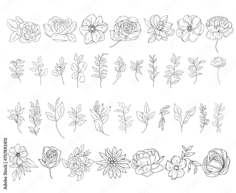 Botanical abstract line art illustration, hand drawn herbs, leaves, flowers and branches set, vector floral  hand drawn clipart - obrazy, fototapety, plakaty 