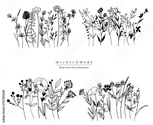 Botanical abstract line art compositions, minimal floral borders of hand drawn herbs, flowers, leaves and branches; vector illustration