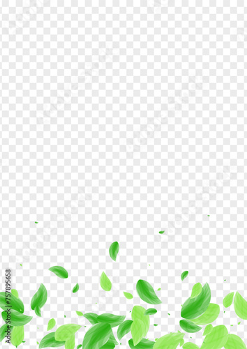 Green Greenery Background Transparent Vector. Sheet Wild Illustration. Wind Design. Greenish Selective Card. Plant Drink.