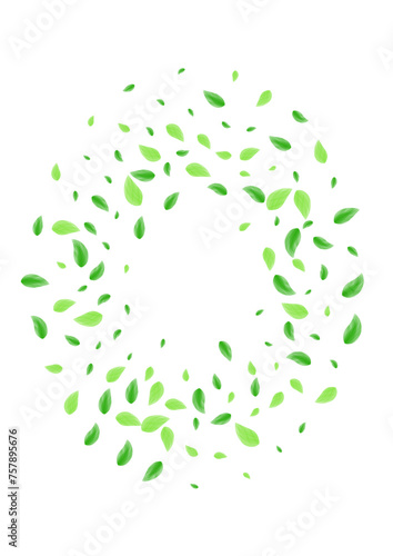 Greenish Plant Background White Vector. Leaf Botanical Design. Mint Texture. Green Set Card. Vegetation Decorative.