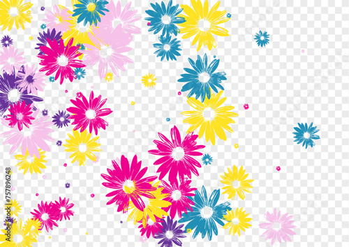 Bright Flowers Background Transparent Vector. Daisy Style Illustration. Violet Chamomile Exotic. Sweetie Print. Retro Pink Flower.
