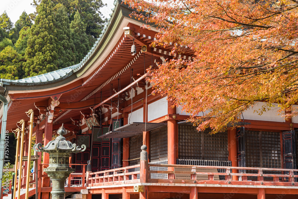 Fototapeta premium 日本 滋賀県大津市にある延暦寺の東塔の大講堂と紅葉