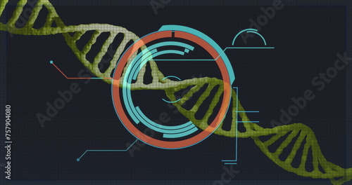 Image of processing circle over dna on black background
