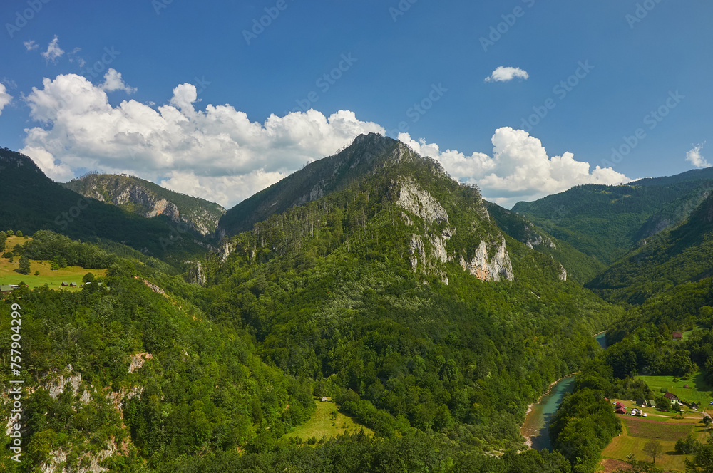 Montenegro. Picturesque canyon of the Tara river. Europe.