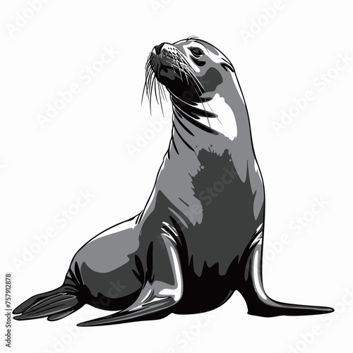 sea lion vector illustration isolated on white background