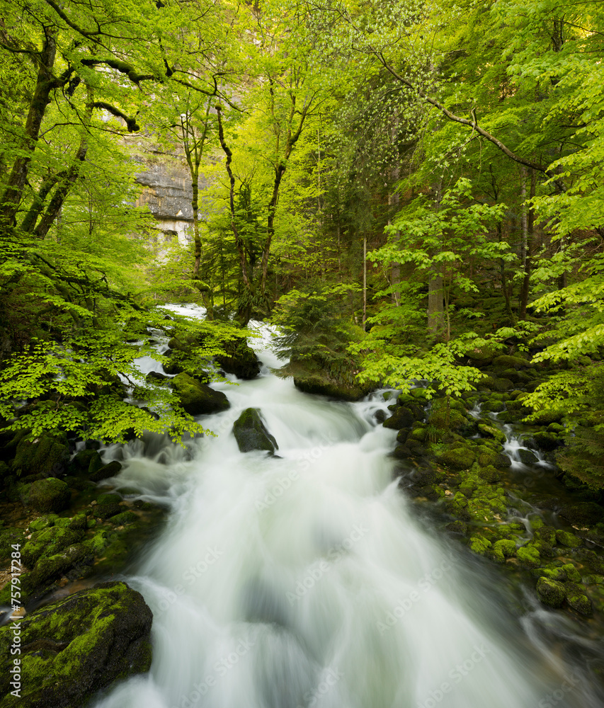 Ursprung der Orbe, Vallorbe, Waadt, Schweiz Ursprung der Orbe, Vallorbe, Waadt, Schweiz